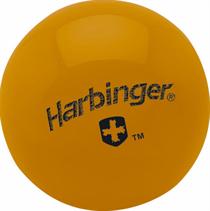 2 lb. Weighted Fitness Ball